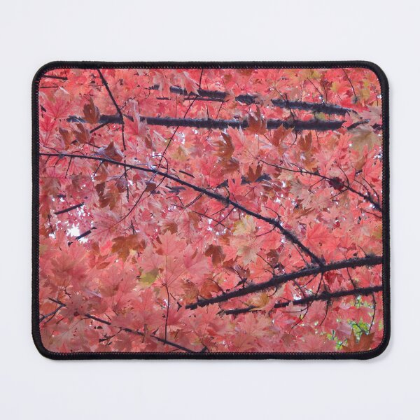 Item preview, Oregon Fall designed and sold by Maxiverse.