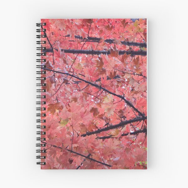 Item preview, Oregon Fall designed and sold by Maxiverse.