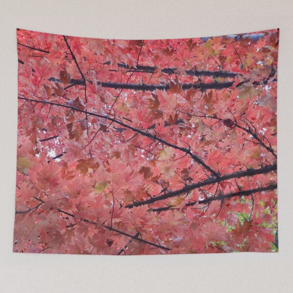 Item preview, Oregon Fall designed and sold by Maxiverse.