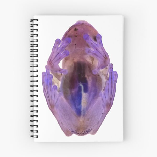 Item preview, Purple frog designed and sold by PrairieWitch.