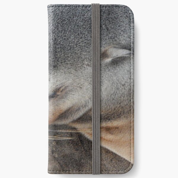 Sleeping Seal on the Shore iPhone Wallet