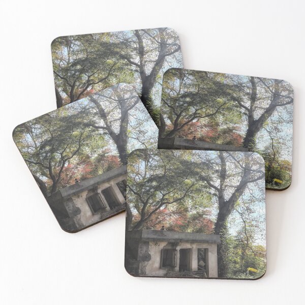 Item preview, Shack designed and sold by goodieg.