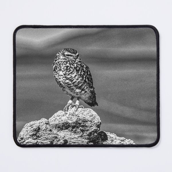 Item preview, Burrowing Owl B&W | Dramatic Wildlife Portrait | Salar de Arizaro, Puna designed and sold by Keltoi-art.