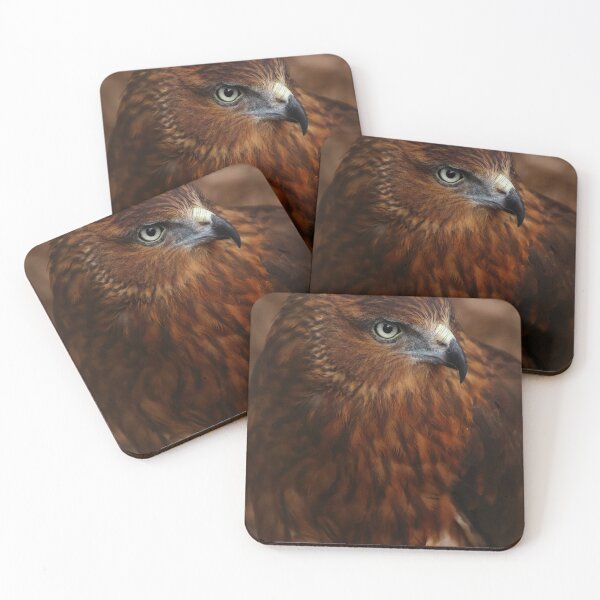 Item preview, swamp harrier portrait designed and sold by Gaylene Norton.