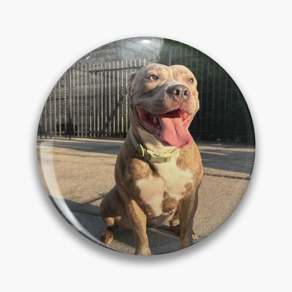 Item preview, BCK Blu Chevy Kennels designed and sold by Grind&Prosper .