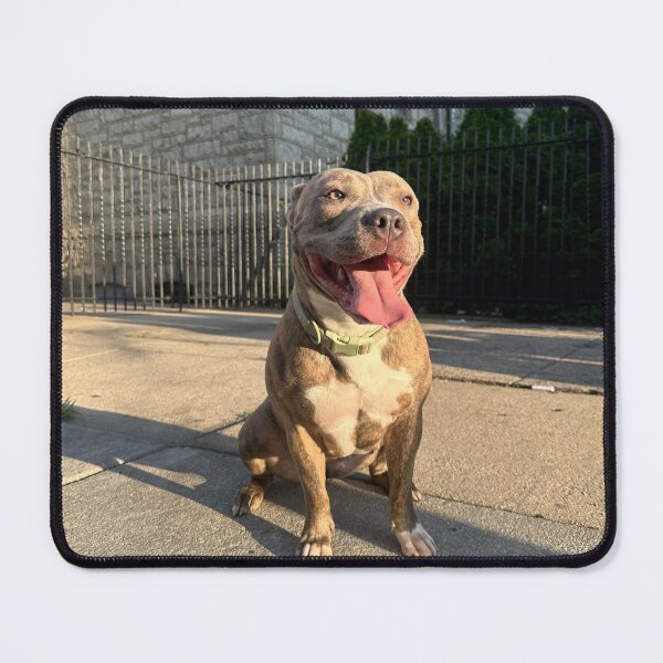 Item preview, BCK Blu Chevy Kennels designed and sold by Grind&Prosper .