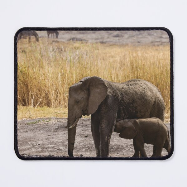 Item preview, Young Mama Elly and Baby designed and sold by Kay Brewer.