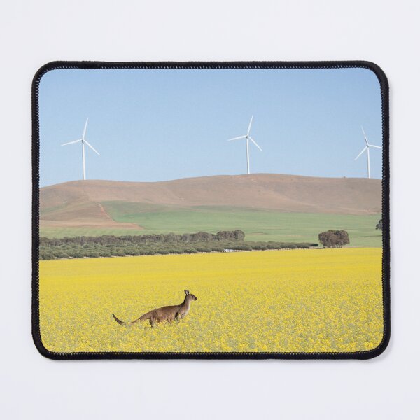 Item preview, Kangaroo in canola field with wind turbines designed and sold by terryhewitt.