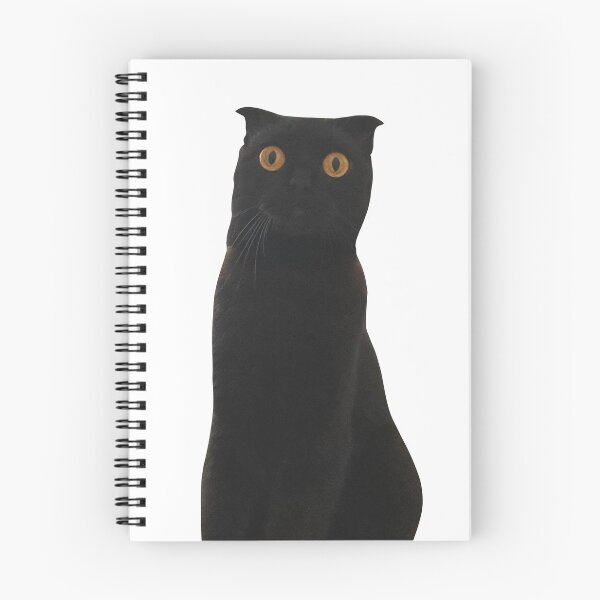 Item preview, My freaky ahh cat designed and sold by GoblinHound.