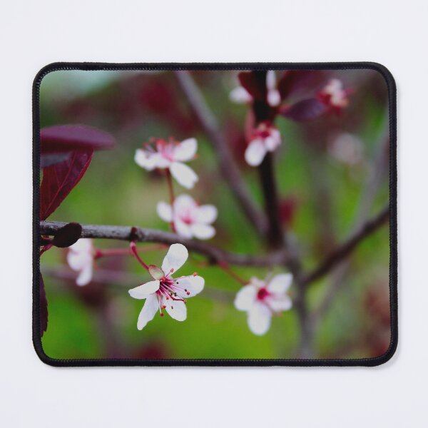 Item preview, White and Pink Flowering Tree designed and sold by byamyclark.