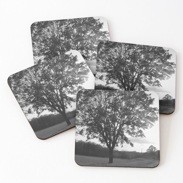 Item preview, Black and White Tree 2 designed and sold by byamyclark.