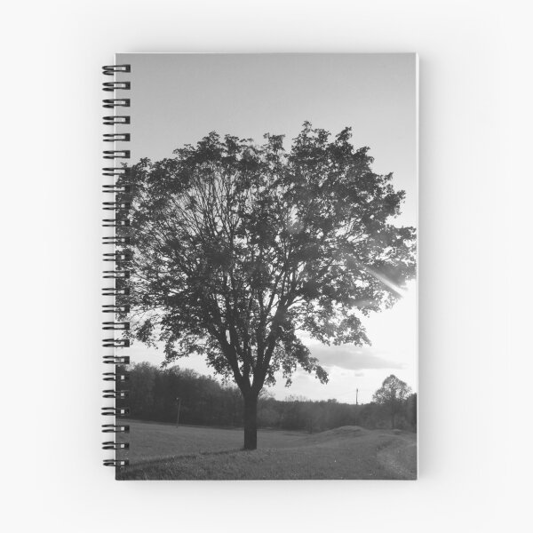 Item preview, Black and White Tree 2 designed and sold by byamyclark.