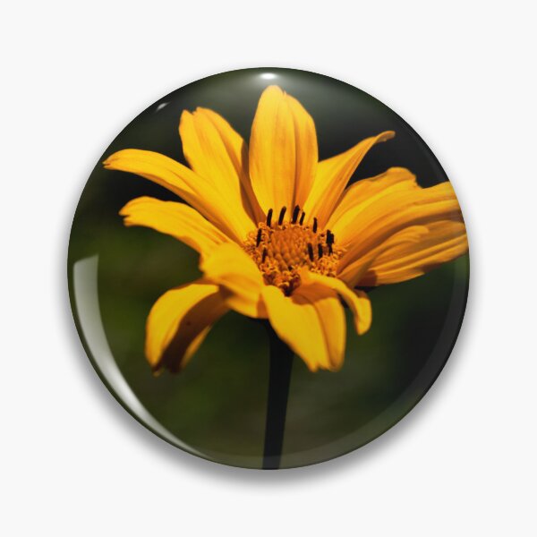 Item preview, Brown-Eyed Susan with Bokah designed and sold by byamyclark.