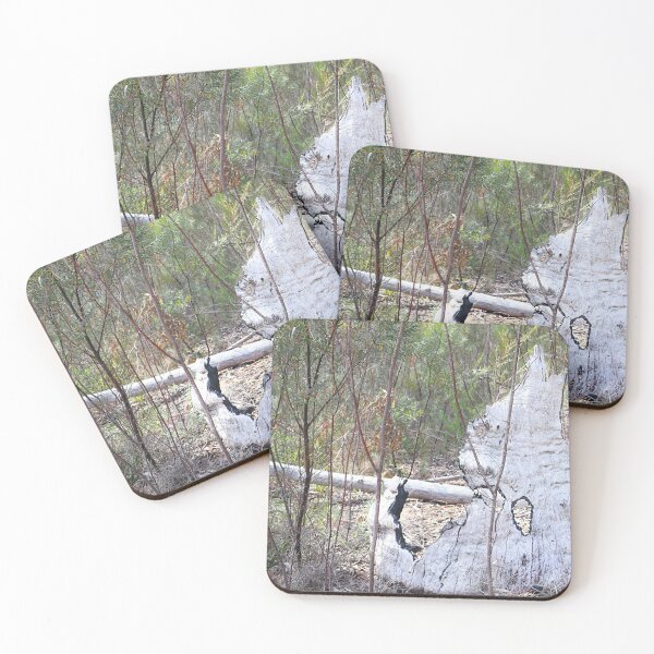 Item preview, Burnt Eucalyptus Skeleton in Australian Bushland designed and sold by Fourpointstudio.