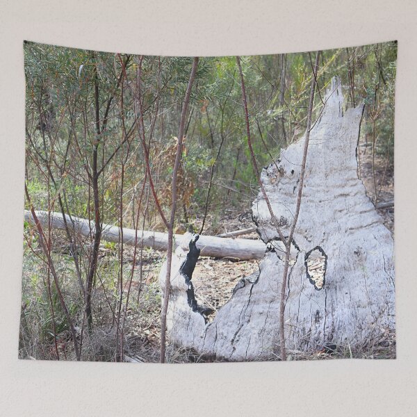 Item preview, Burnt Eucalyptus Skeleton in Australian Bushland designed and sold by Fourpointstudio.