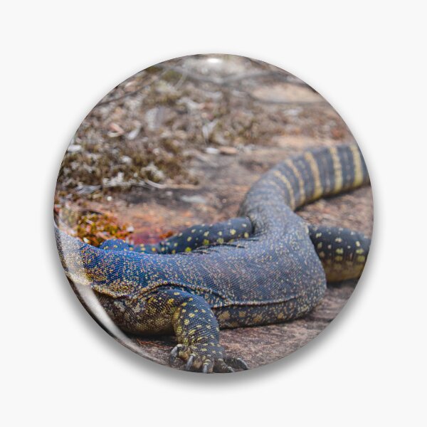 Item preview, Goanna Sunbathing on Sandstone designed and sold by Fourpointstudio.