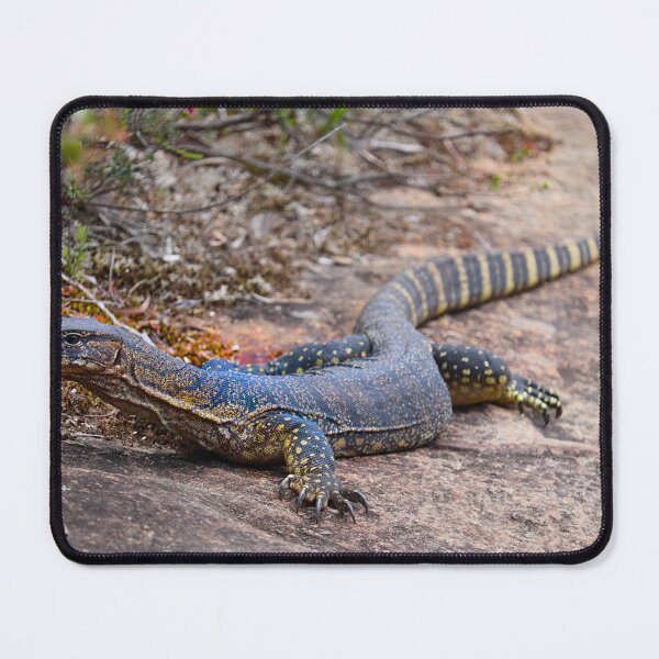 Item preview, Goanna Sunbathing on Sandstone designed and sold by Fourpointstudio.
