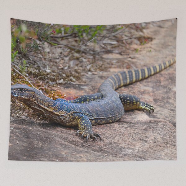 Item preview, Goanna Sunbathing on Sandstone designed and sold by Fourpointstudio.