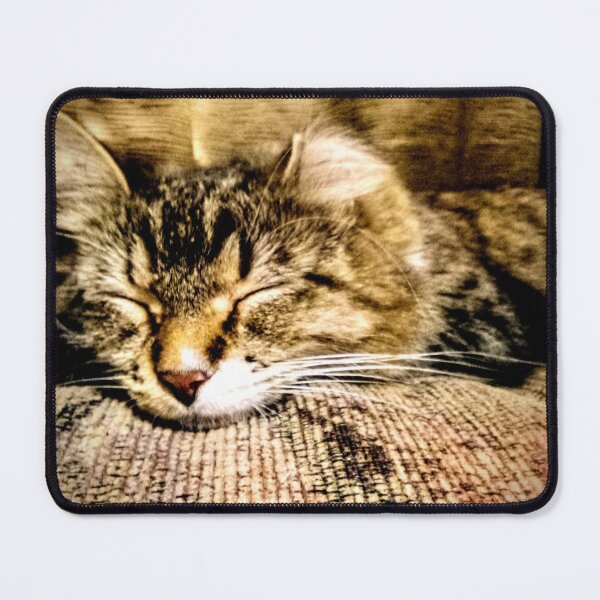 Item preview, Golden Kitty designed and sold by MJoy18.
