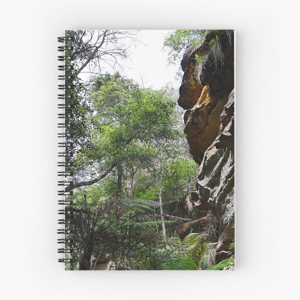 Item preview, Fern-Filled Gully Beneath Sandstone Cliffs designed and sold by Fourpointstudio.