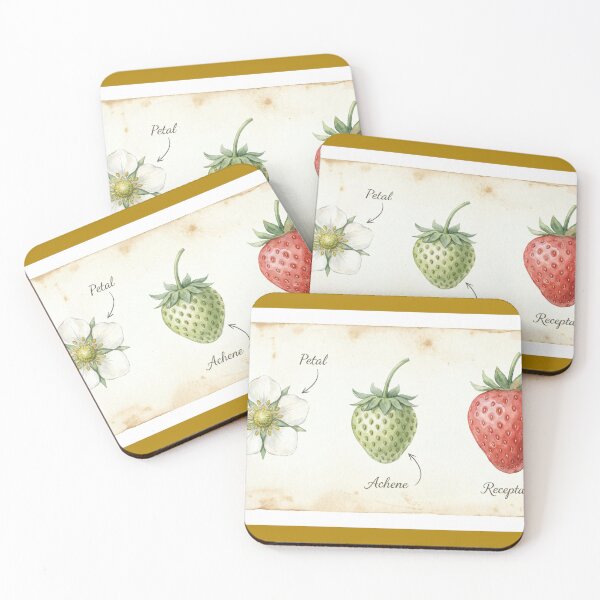 Item preview, Vintage Botanical Strawberry Anatomy Science Diagram designed and sold by SynthesisStudio.
