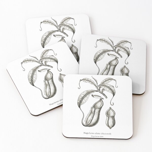 Item preview, Pitcher plant designed and sold by EnR-designs.