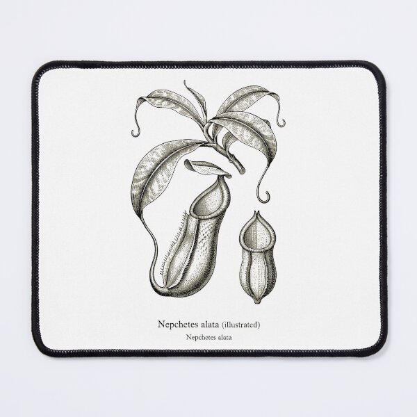 Item preview, Pitcher plant designed and sold by EnR-designs.