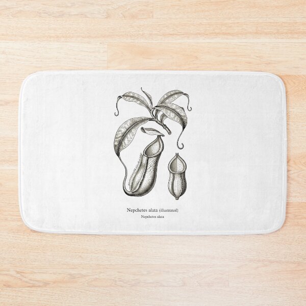 Item preview, Pitcher plant designed and sold by EnR-designs.