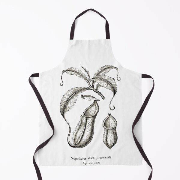 Item preview, Pitcher plant designed and sold by EnR-designs.