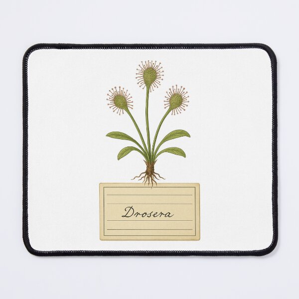Item preview, Sundew designed and sold by EnR-designs.