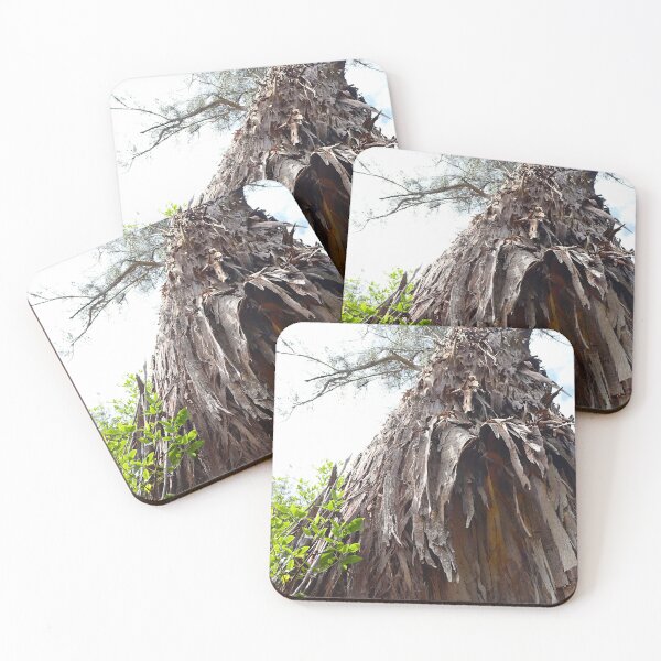 Item preview, Peeling Eucalyptus Bark Reaching Skyward designed and sold by Fourpointstudio.