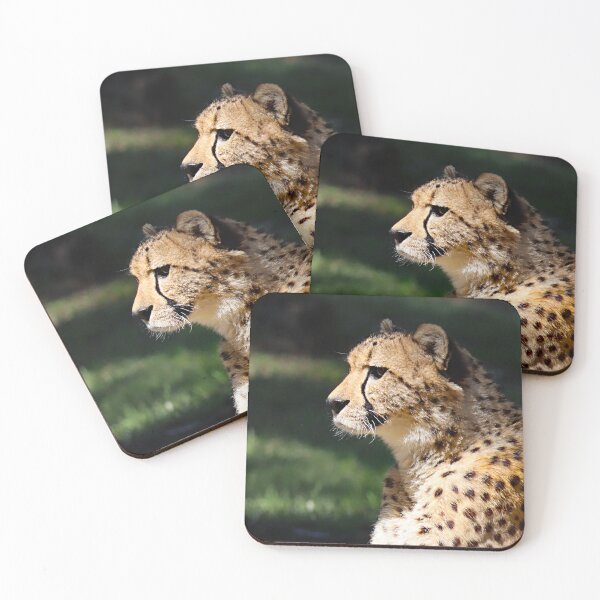 Item preview, Cheetah in Profile — Quiet Focus designed and sold by Fourpointstudio.