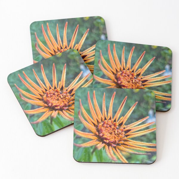 Item preview, Unfolding Pedals designed and sold by Betsy Phillips.