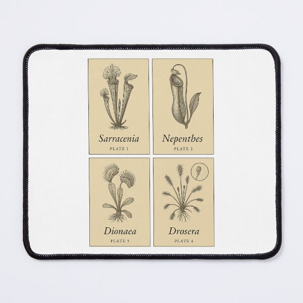 Item preview, Carnivorous Plant Collector’s Set (4 Mini Plates) designed and sold by EnR-designs.