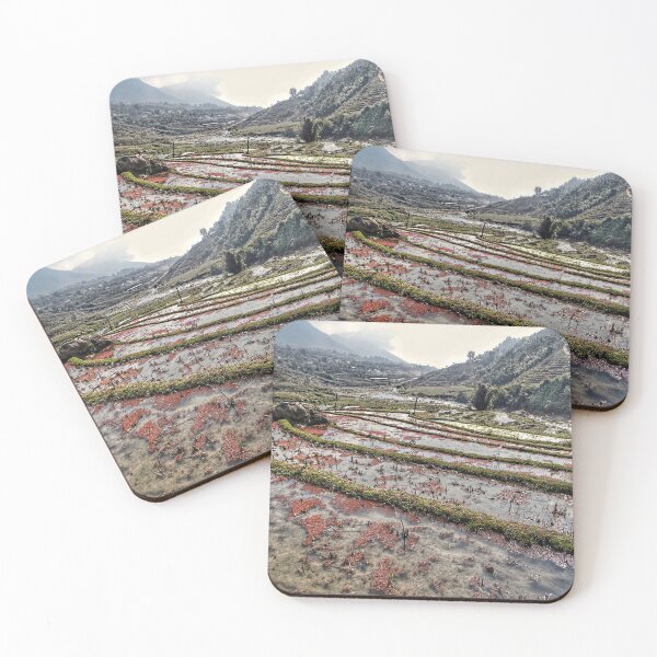 Item preview, Terraced Rice Fields of Sapa Valley, Vietnam designed and sold by Fourpointstudio.