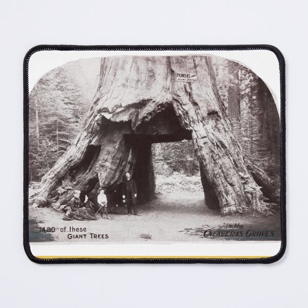Item preview, 1480 of these Giant Trees designed and sold by NoisyNosyNancy.