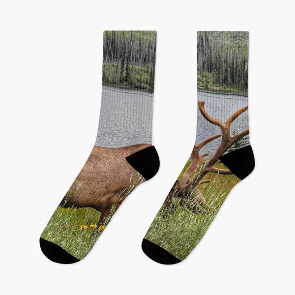 Item preview, Bull Elk Grazing by a Mountain Lake designed and sold by Fourpointstudio.
