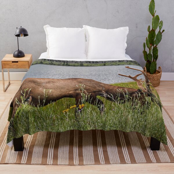 Item preview, Bull Elk Grazing by a Mountain Lake designed and sold by Fourpointstudio.