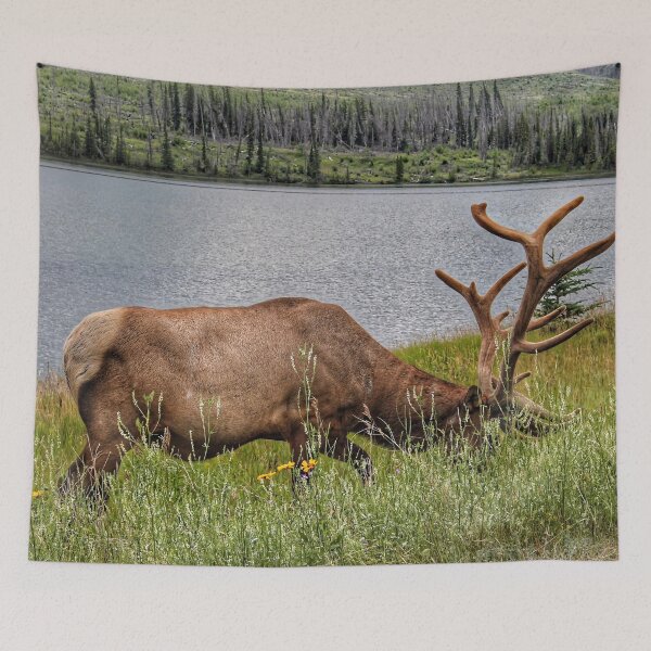 Item preview, Bull Elk Grazing by a Mountain Lake designed and sold by Fourpointstudio.