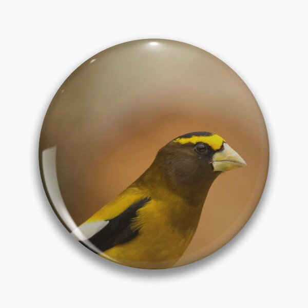 Item preview, Very beautiful large yellow beak designed and sold by Production Art Manon Meilleur.