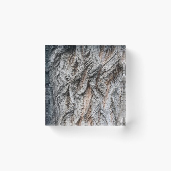 Item preview, 100 Year Old Poplar Tree Bark Sculptural Relief designed and sold by Georgia Mizuleva.