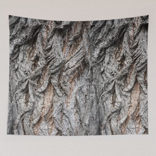 Item preview, 100 Year Old Poplar Tree Bark Sculptural Relief designed and sold by Georgia Mizuleva.