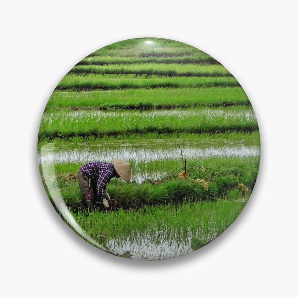 Item preview, Working the Rice Fields, Hoi An, Vietnam designed and sold by Fourpointstudio.