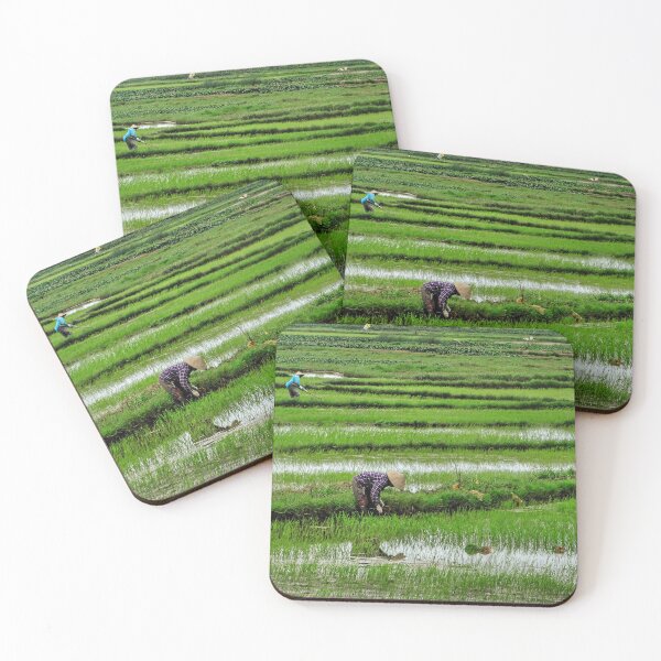 Item preview, Working the Rice Fields, Hoi An, Vietnam designed and sold by Fourpointstudio.