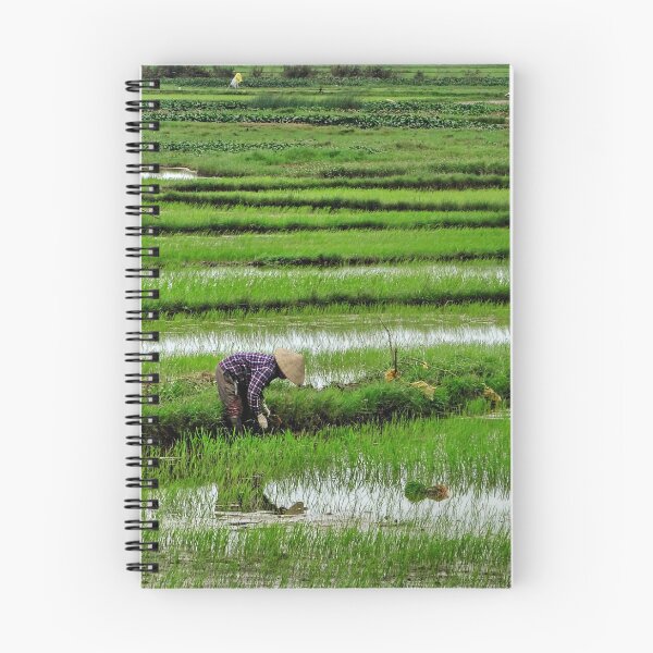 Item preview, Working the Rice Fields, Hoi An, Vietnam designed and sold by Fourpointstudio.