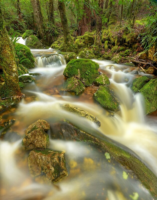"Gads Creek, Tasmania" by Kevin McGennan Redbubble