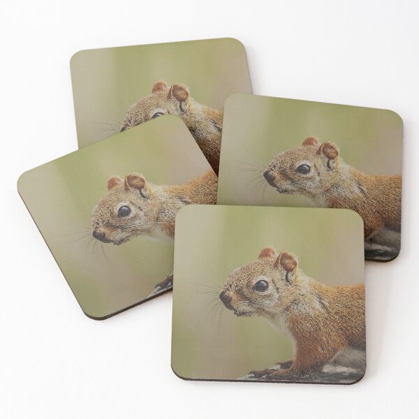 Item preview, Dirty red squirrel designed and sold by Production Art Manon Meilleur.