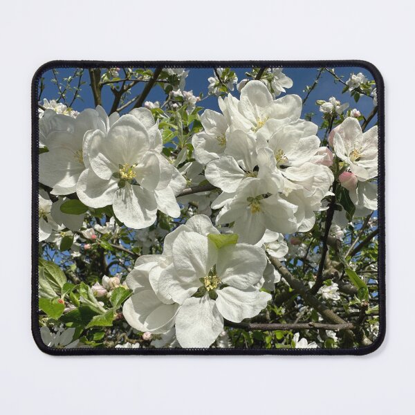 Item preview, Spring Blossoms on the Branch designed and sold by 3 Square Hollow Trading Post.