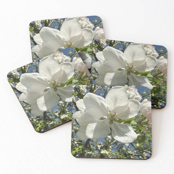 Item preview, Single Blossom in Spring Light designed and sold by 3 Square Hollow Trading Post.