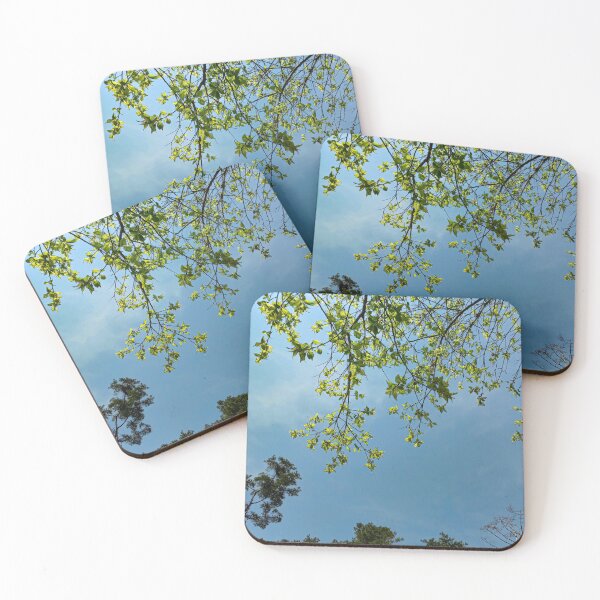 Item preview, Branches Against a Clear Blue Sky designed and sold by Domenica-Rosa.